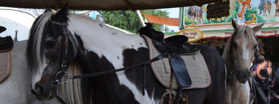 Kritik an „Fragwürdiger Attraktion“ auf Schiersteiner Hafenfest