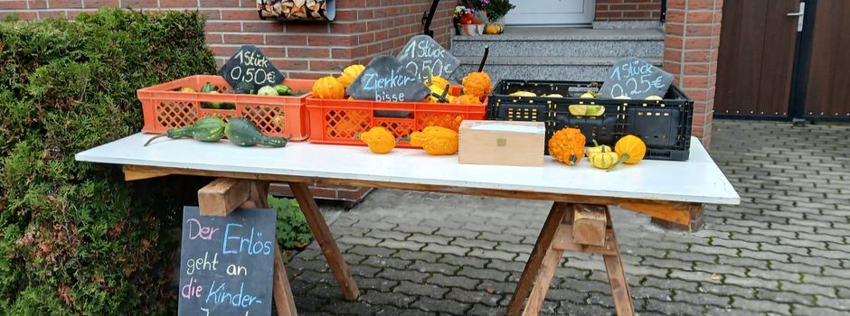 
🎃 Kürbisverkauf zu Halloween! 🎃
