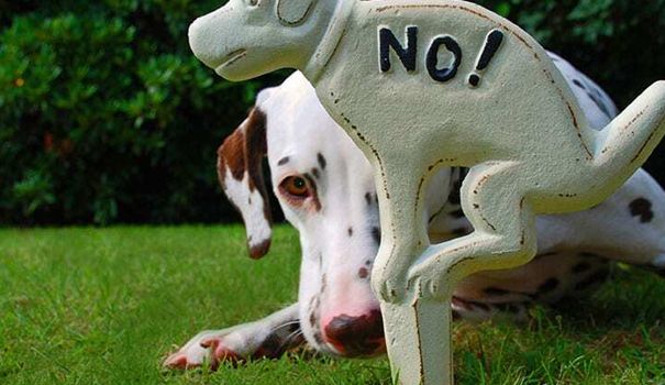Ein Spaziergang in Weißenborn