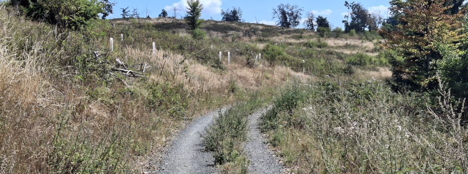 Waldbrandgefahr im Gemeindegebiet Waldems: Sperrung von Waldwegen