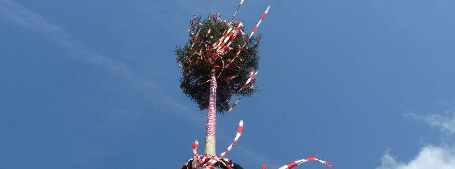 Maibaumfest