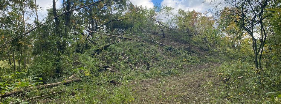 2. Arbeitseinsatz am Rande des Naturlehrpfades in Klein Nemerow