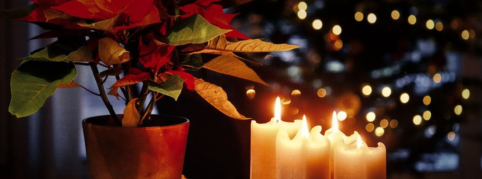 Lebendiges Adventsfenster