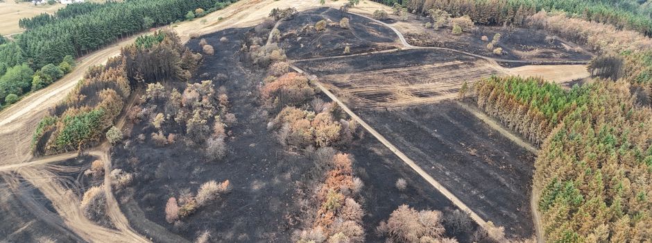 Waldbrand bei Langscheid: Das Ausmaß der Schäden in der Vordereifel