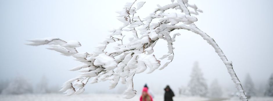 Kältestes Weihnachten seit 15 Jahren möglich - kaum Schnee