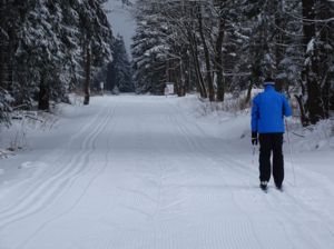 Aktueller Schneebericht vom Hohen Meißner