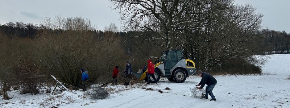 Eingewachsener Wildschutzzaun nun vollständig entfernt