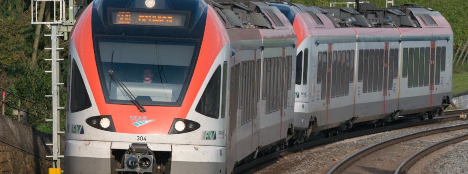 Zug erfasst Ziegenherde – mehrere Tiere tot