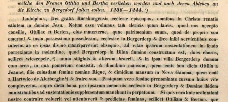 Der erste bekannte Geesthachter – ein Ritter aus dem Nahen Osten?