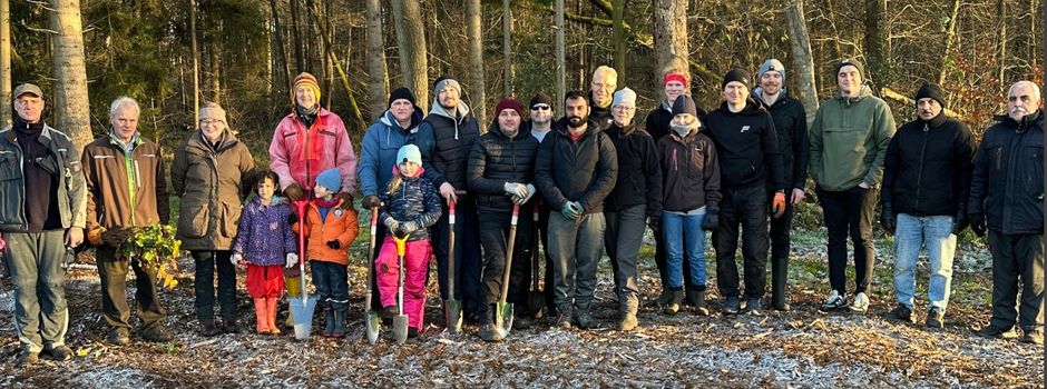 Mit großem Einsatz, Teamgeist und viel Begeisterung 2.300 Bäume gepflanzt