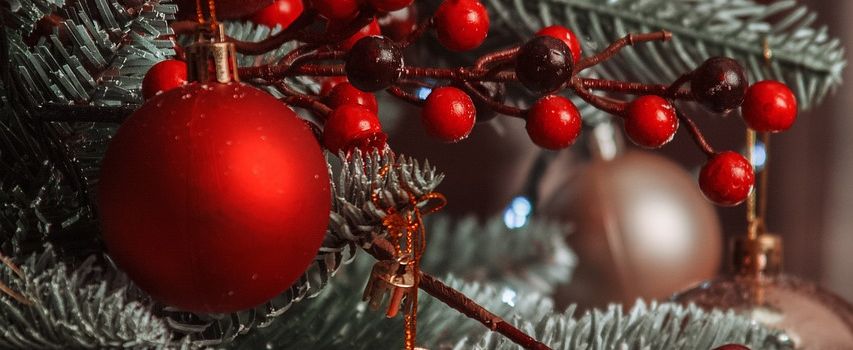 Weihnachtsbaumverkauf am 16.12. von 10-16Uhr