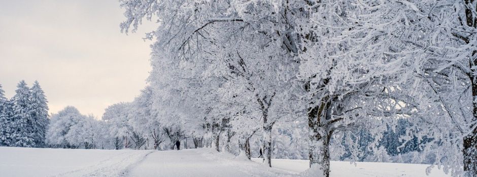 Massiver Schneefall: Dramatische Nacht im Rheingau-Taunus-Kreis