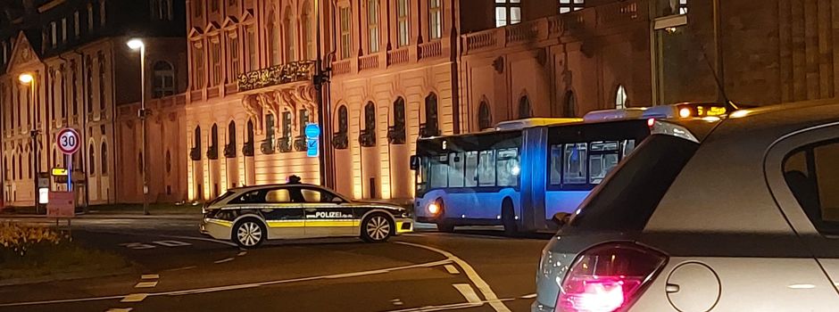 Wildschwein löst Polizei-Großeinsatz in der Mainzer Altstadt aus