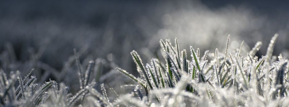 Ende Mai: Nachtfrost in Wiesbaden erwartet