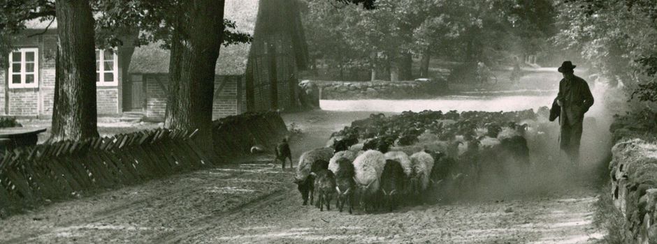 „Natur & Kultur in der Heide“