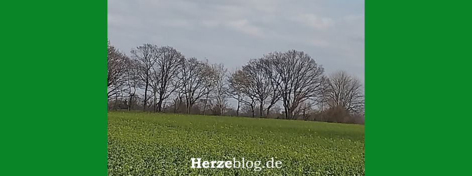 Trauerspaziergang in Herzebrock-Clarholz & neuer Internet-Auftritt: Gemeinsam gehen und Kraft in der Gemeinschaft tanken