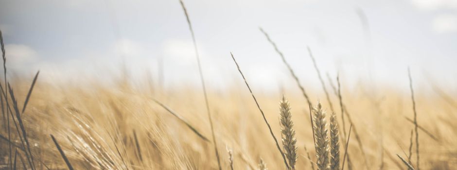 Einladung zum Erbsensuppe Essen