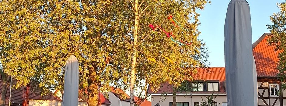 Aufstellung des Maibaums in Gensingen 