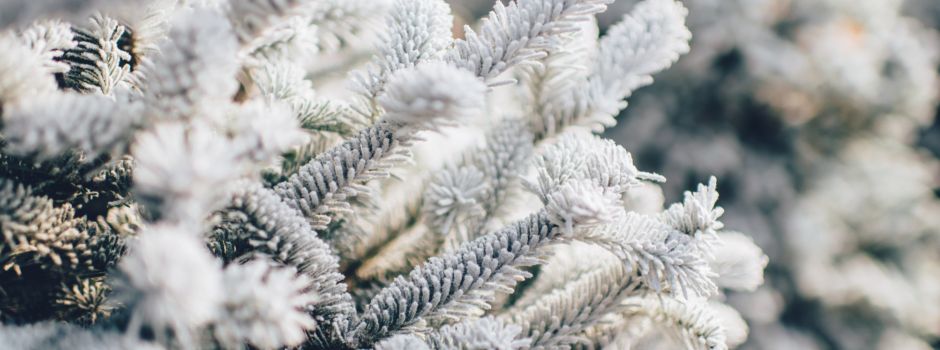5 schöne Dinge, die ihr an einem Sonntag im Winter machen könnt