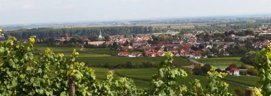 Gemeinsam stark für Nierstein: Rückblick 2025 und Ausblick 2026