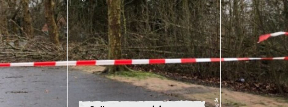 Schäden Sturmtief „Sabine“