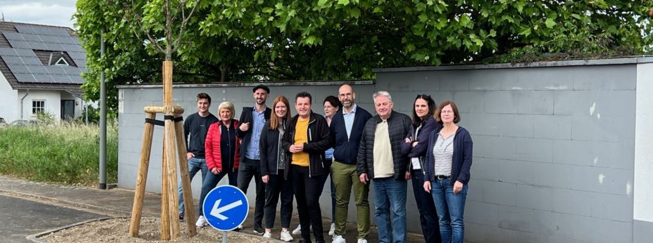 Neugestaltung der Pflanzinseln in der Rehlinger Konrad-Adenauer-Straße 