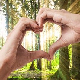 Mitwandern und Lieblingsverein unterstützen - Sparkasse spendet 10.000 €!