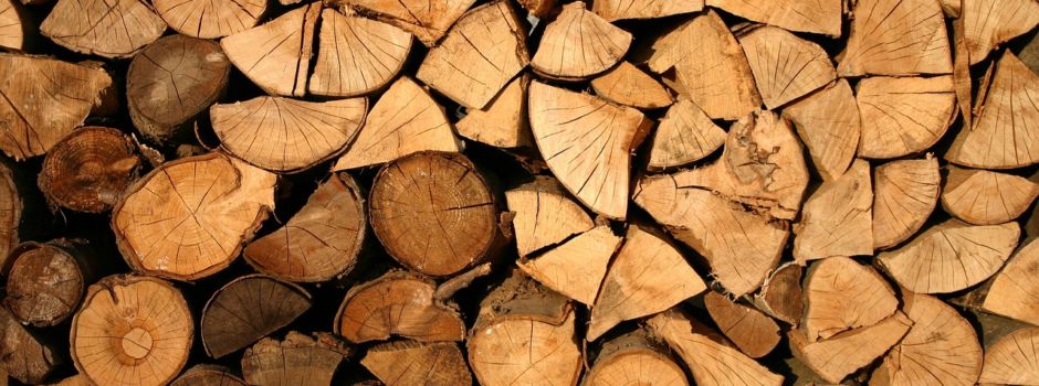 Zum traditionellen Holzstrich im Lardenbacher Pfortwald am 15. Februar 2025