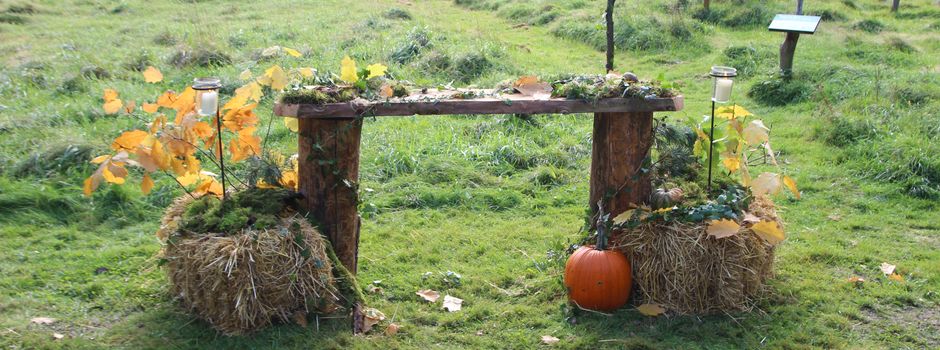 Rund um die Produkte des Waldes