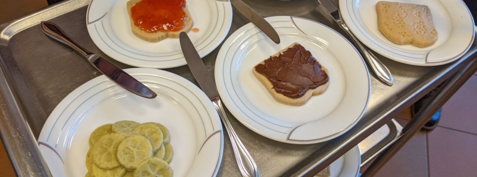 Pürierte Kostform im Test