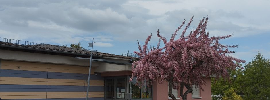 Kindertagesstätte Eichenwäldchen 