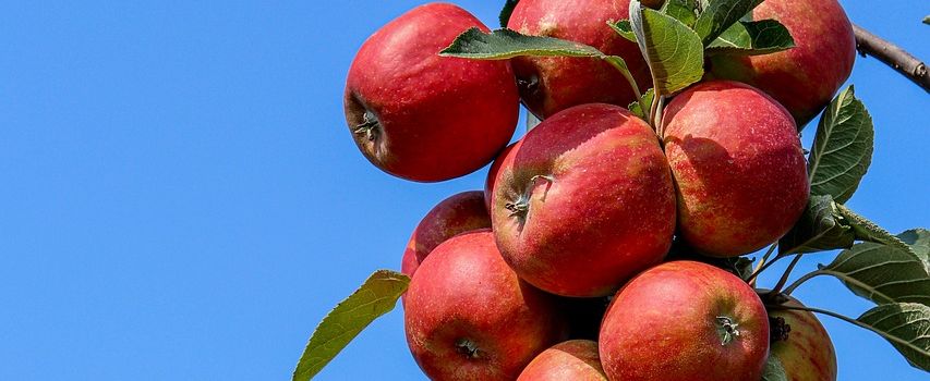Werkstätten zur Aktualisierung des Klimaschutzkonzeptes