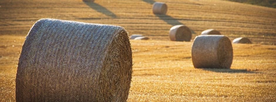 Ausflug zur Strohburg