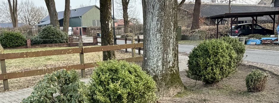 Blumenzwiebeln für ein buntes Föhrden