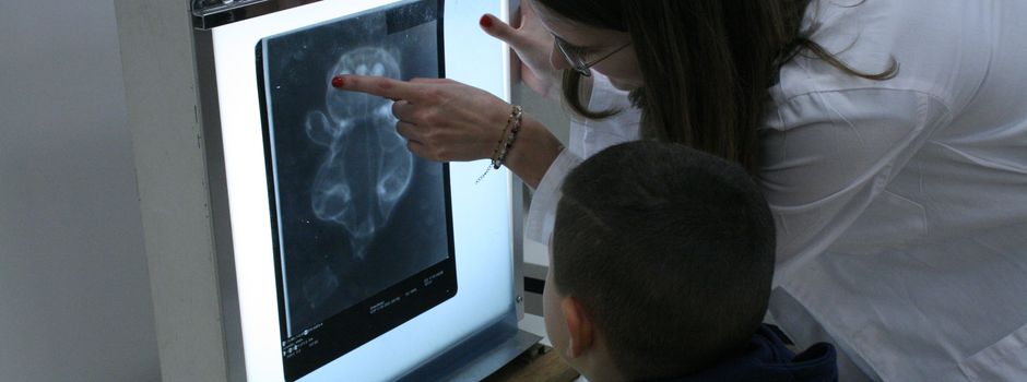 Teddyklinik in Mainz öffnet zum 25. Mal