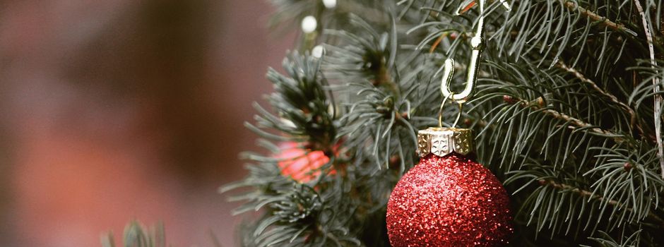 Einsammeln der Weihnachtsbäume in Ehrsten am 10.01.26 ab 09:30 Uhr!