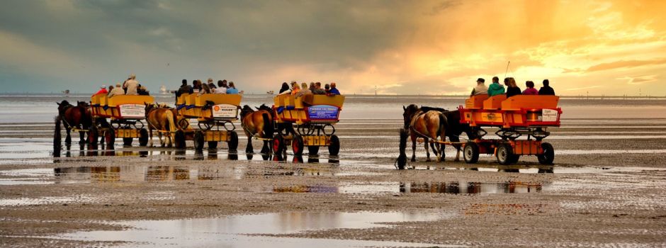 Neuwerkwanderung 2025