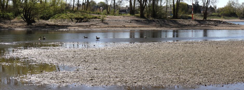 Die Natur lechzt nach Wasser – auch in Niederkassel