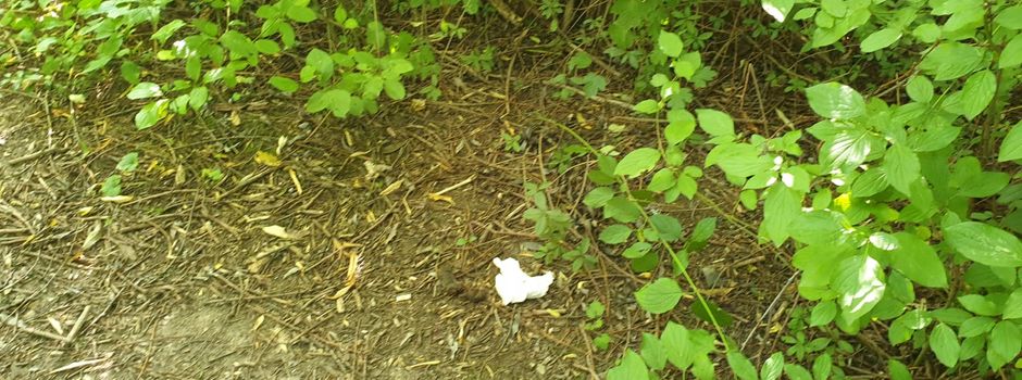 Ekel-Fund auf Spielplatz: Wer hat hier hingemacht...