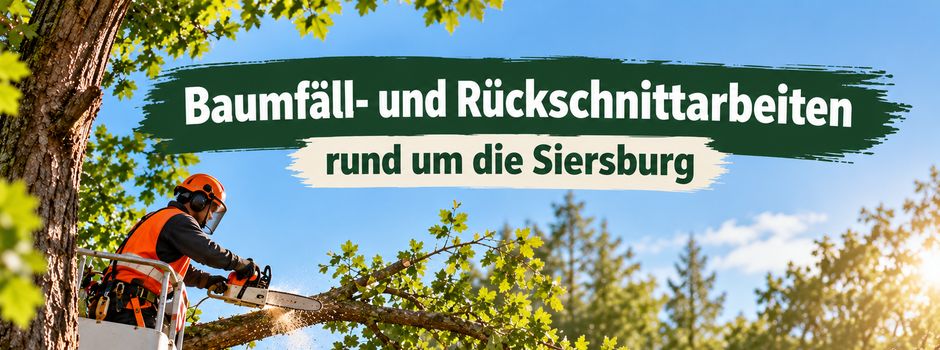 Baumfäll- und Rückschnittarbeiten an der Siersburg