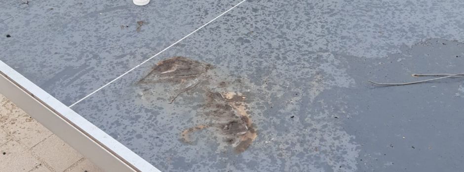 Mutwillige Beschädigung