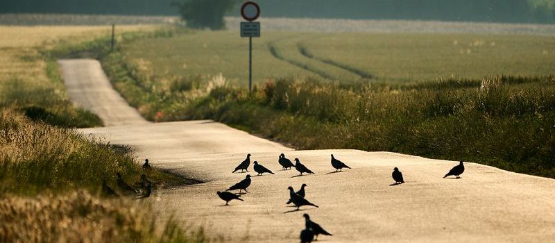 Koblenz: Hitzewelle bringt bis zu 38 Grad in der Region