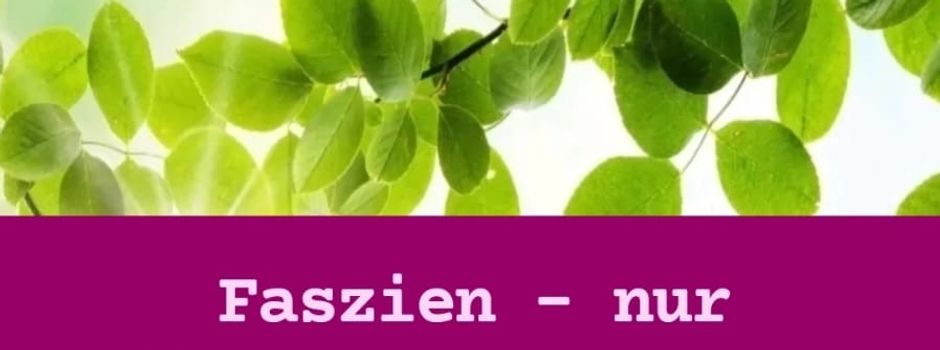 Faszien - nur Stützgewebe oder doch soviel mehr?