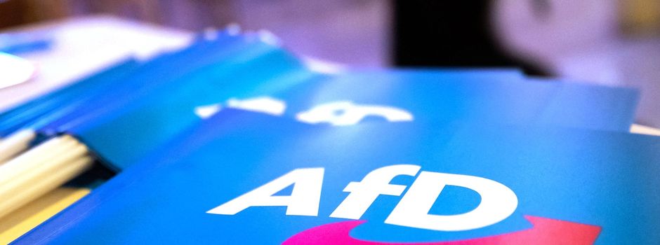 AfD mit hohen Werten in Wahlumfragen - In Ländern weit vorn