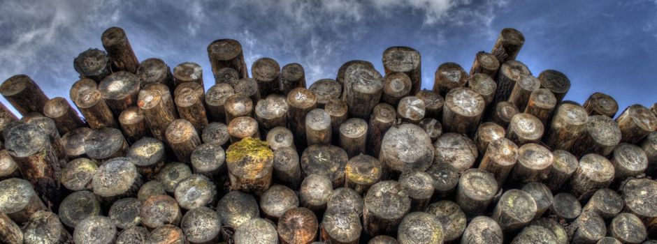 Noch Brennholzpolter zu erwerben