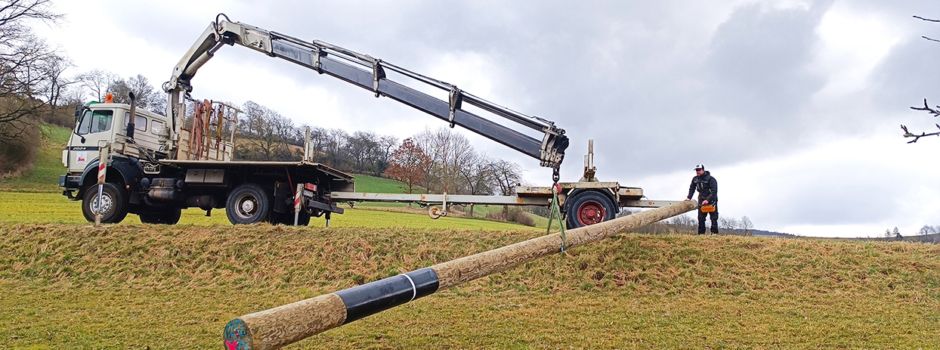 Neues Zuhause für Störche im Haselgrund