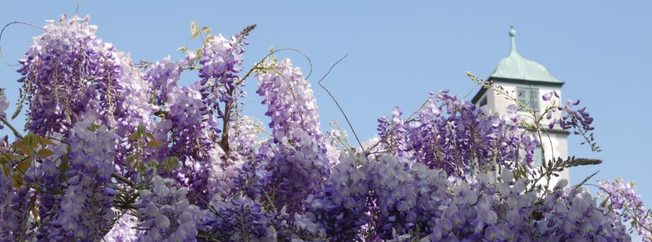 Augsburger Facts für gute Laune: Das müsst ihr über die Stadt wissen