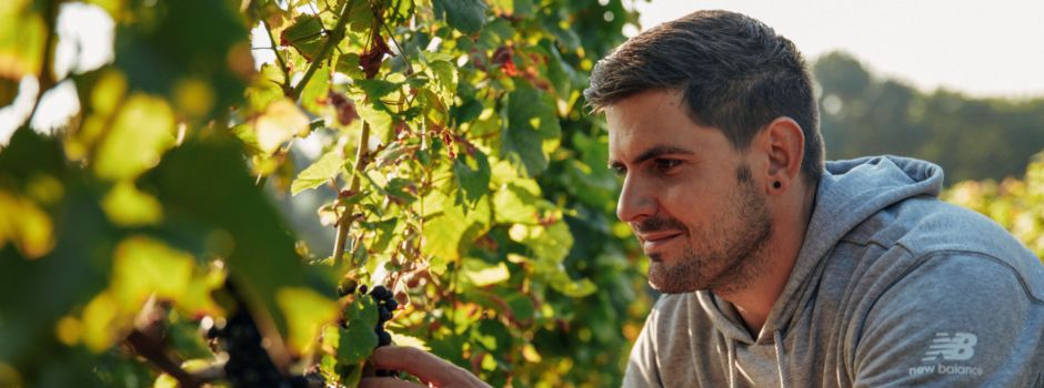 Knewitz: Weine vom rheinhessischen Meer