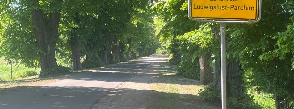 Sommer in Redefin 