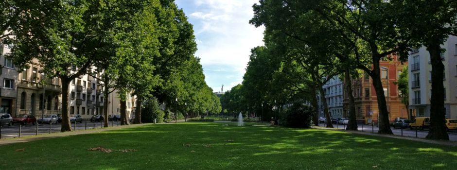 Wiesbadener liefert sich wilde Verfolgungsjagd mit Mainzer Polizei